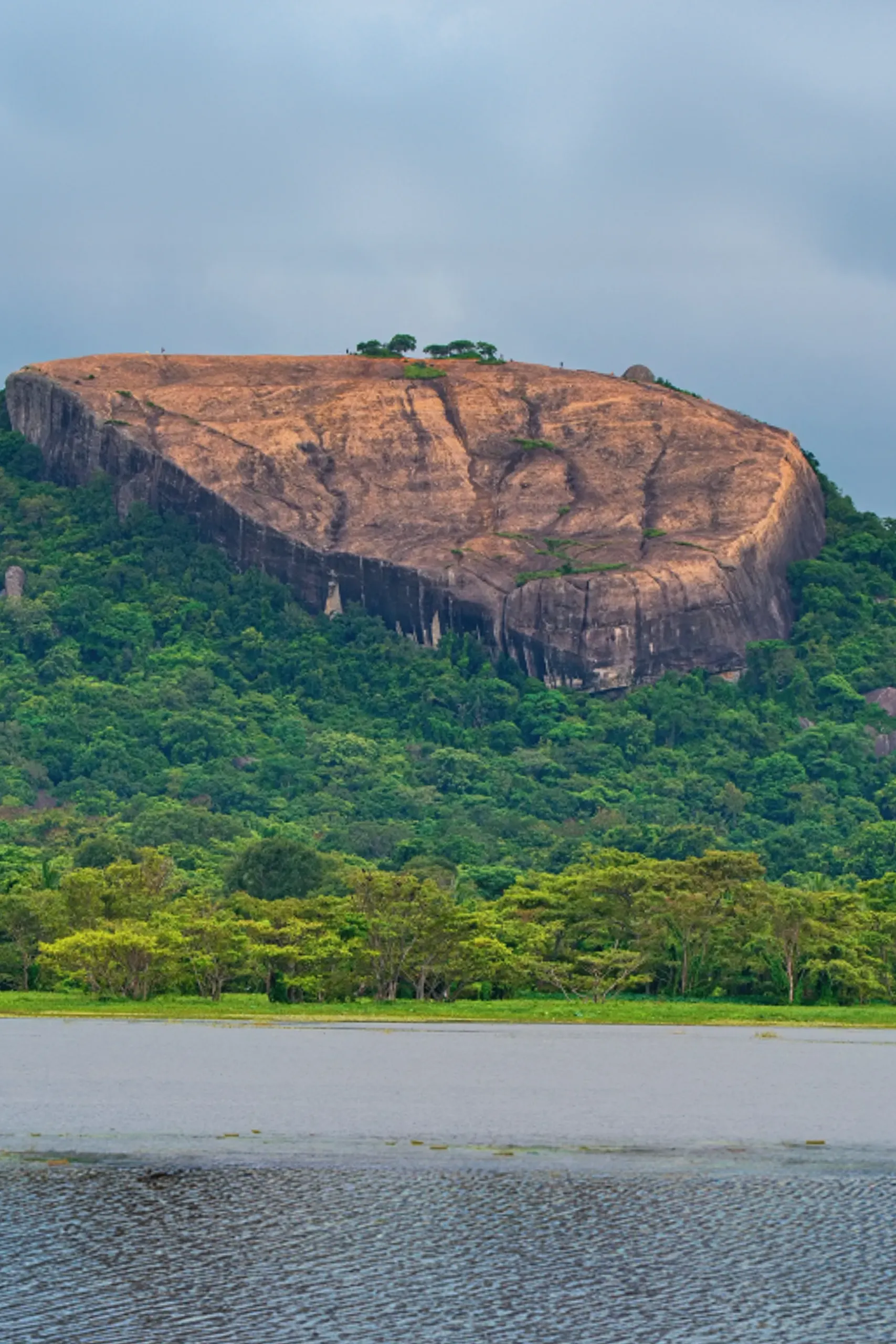 differentiation-image-two